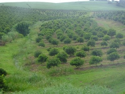 ToDurban (73)