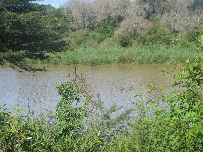 HIgameReserve (110)