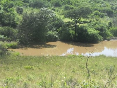 HIgameReserve (117)