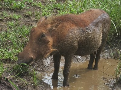 HIgameReserve (134)