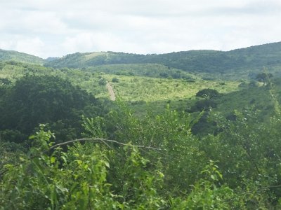 HIgameReserve (141)