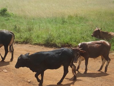 HIgameReserve (159)