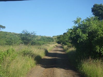 HIgameReserve (22)