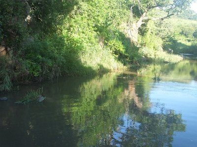HIgameReserve (32)