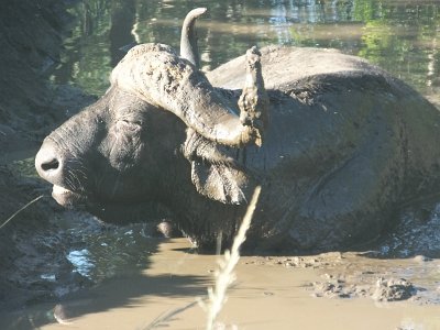 HIgameReserve (41)