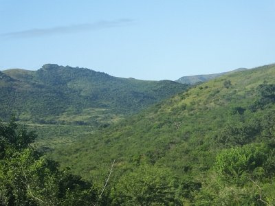 HIgameReserve (47)
