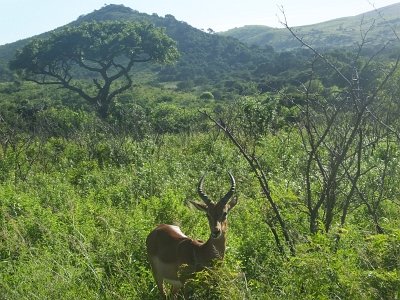 HIgameReserve (68)