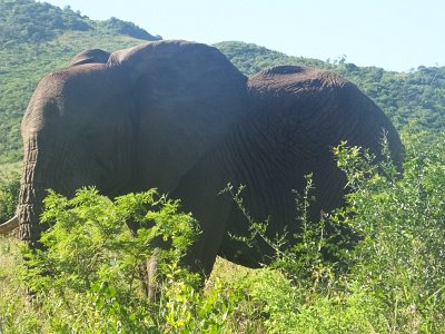 HIgameReserve (87)