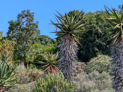 garden2 (45)