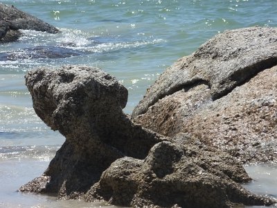 CapeGoodHope (101)