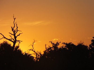 KrugerSafari (3)