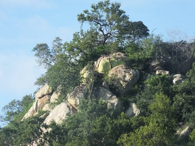 KrugerSafari (43)