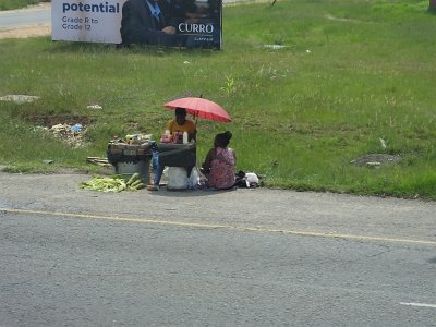 Soweto (147)