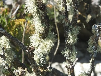 TableMtn (47)