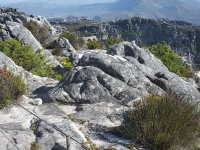 TableMtn (65)