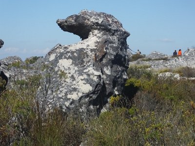 TableMtn (83)