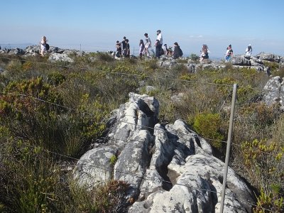 TableMtn (86)