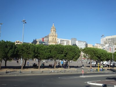 CPgarden (24)