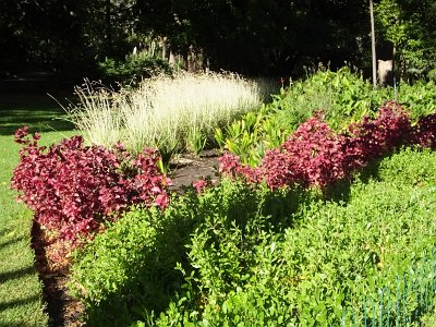 CPgarden (56)