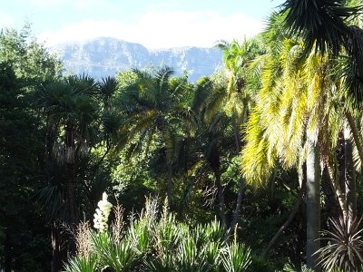 CPgarden (61)