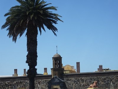 Capetown25 (109)