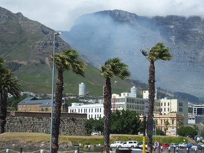 Capetown25 (80)