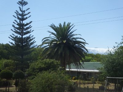 WineTour1 (112)