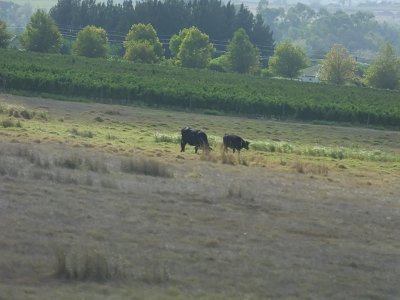 WineTour1 (12)
