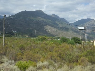 WineTour2SA (163)