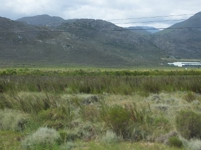 WineTour2SA (164)