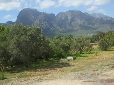 WineTour2SA (2)