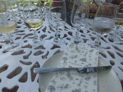 WineTour2SA (20)