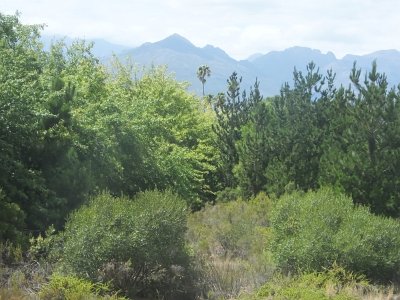 WineTour2SA (33)