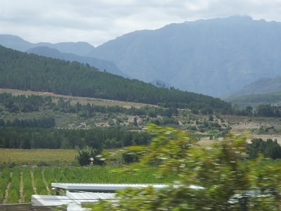 WineTour2SA (40)