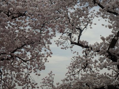 Spring25 (105)