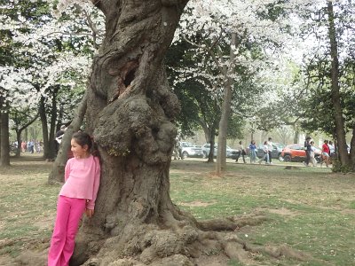 Spring25 (120)
