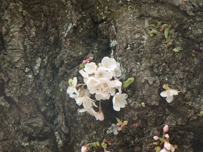 Spring25 (124)