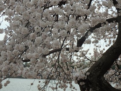 Spring25 (125)