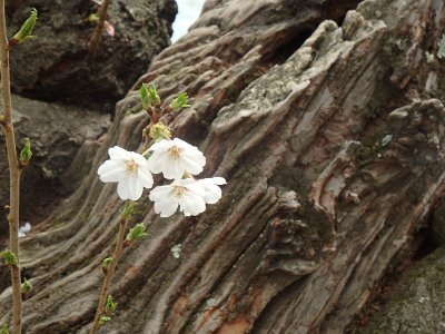 Spring25 (131)