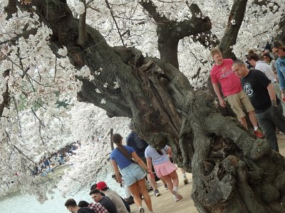 Spring25 (134)