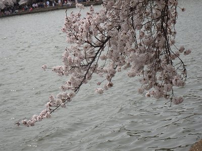 Spring25 (136)