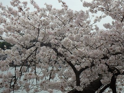 Spring25 (143)