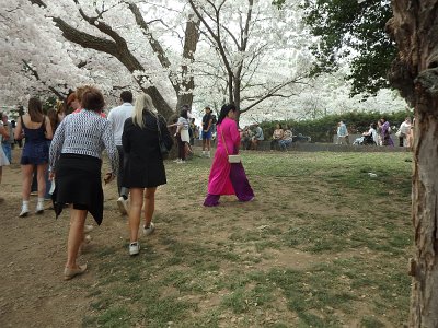 Spring25 (150)
