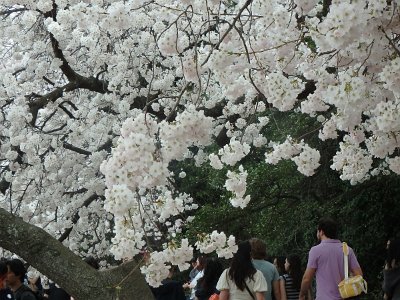 Spring25 (159)