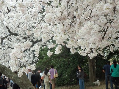 Spring25 (160)