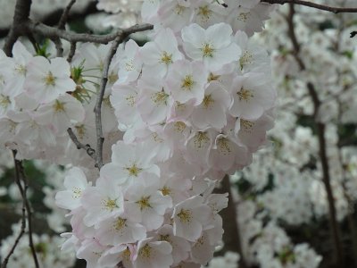 Spring25 (168)