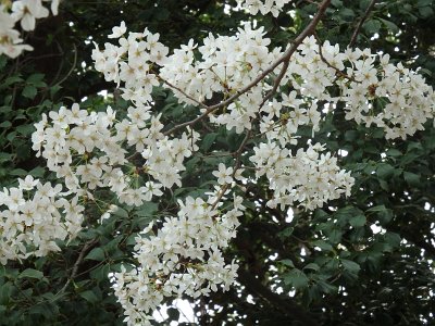 Spring25 (172)