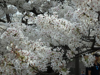 Spring25 (180)