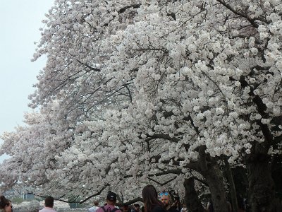 Spring25 (184)