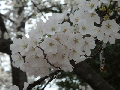 Spring25 (186)